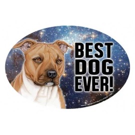 Pitbull BEST DOG EVER! Cute Oval 4"x6" Fridge Car Magnet Large Size USA Made NEW