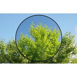 Circular Polarizing Filter Compatible with Canon RF 35mm f/1.4L VCM