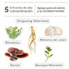 LANDA | Mind & Stress Relief | Suplemento natural con
