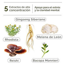 LANDA | Mind & Stress Relief | Suplemento natural con Reishi, Melena de León, Rhodiola, Bacopa y Ginseng Siberiano | Cápsulas adaptógenas para estrés,