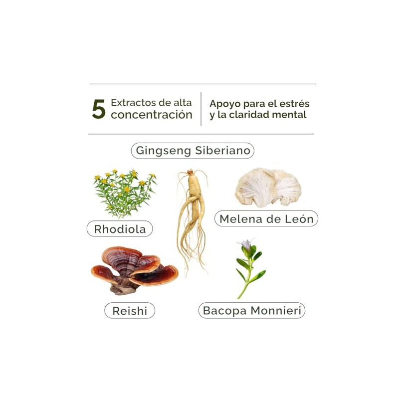LANDA | Mind & Stress Relief | Suplemento natural con