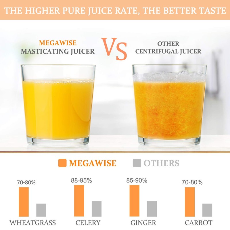 MegaWise Pro 2025 Updated Slow Masticating Juicer, 95% Juice Yield,