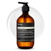 Aesop Classic Shampoo (For All Hair Types) 500ml