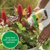 Miracle-Gro Shake 'N Feed All Purpose Plant Food, For In-Ground