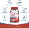 LIFE 360+ Men Blend Multivitaminico para Hombre | 360 cápsulas