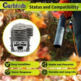 Carbhub P100006300 Cylinder for Echo PB-8010 PB-9010 for Shindaiwa EB810 EB810RT Backpack Blowers with P100012460 Piston Kit