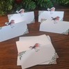 Christmas Robin Table Place Name Cards 12/pk Festive Table Setting