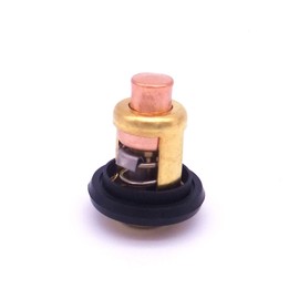688-12411-10/11 6H3-12411-11 6E5-12411-30/20/10 6E5-12411-02 6E5-12411-00 Boat Engine Thermostat T15-04000010 for Yamaha Parsun Makara Marine 2-Stroke 3HP 15HP 25HP 30HP 40HP - 250HP Outboard Motor