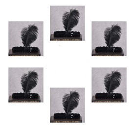 1920s Flapper Headband Black Fashion Feather Headdress For Thank Giving, Gatsby Theme Party, Role-play Costumes, Cosplay Costume, Masquerade etc