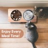 Siooko Elevated Cat Bowls, 15° Tilted Raised Cat Food Bowls