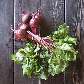 1,200 Early Wonder Tall top Beet Seeds Microgreens Sprouts Organic Non GMO