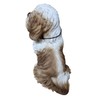 Vivid Arts - Real Life-like Shih-Tzu - XRL-SZ12-D
