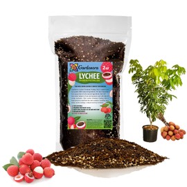 Gardenera Expertly Formulated Lychee Potting Soil Mix - Optimal Nutrient-Rich Blend for Thriving and Juicy Lychee Trees - 2 QUARTS