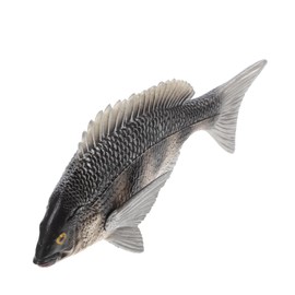 SUPVOX Realistic Fish Model Children's Plaything Simulation Fish Adornment Marine Animal Model