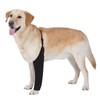 BARKLESS Dog Recovery Suit for Front Leg After Surgery, Breathable