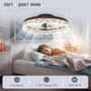 VOLISUN Modern Ceiling Fans with Lights and Remote, 19.7in Low
