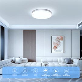 EASY EAGLE LED Ceiling Light Flat Round Ceiling Light 6500 K 36 W 3600 lm Modern Bathroom Lamp Ceiling Kitchen Lamp for Bathroom Hallway Bedroom Balcony Living Room Kitchen Cellar Lamp Diameter 23 cm