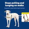 Petsafe Easy Walk - Arnés para Perros, ML, Beige