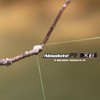 VARIVAS Absolute PE X8, 492.1 ft (150 m), Green Marking