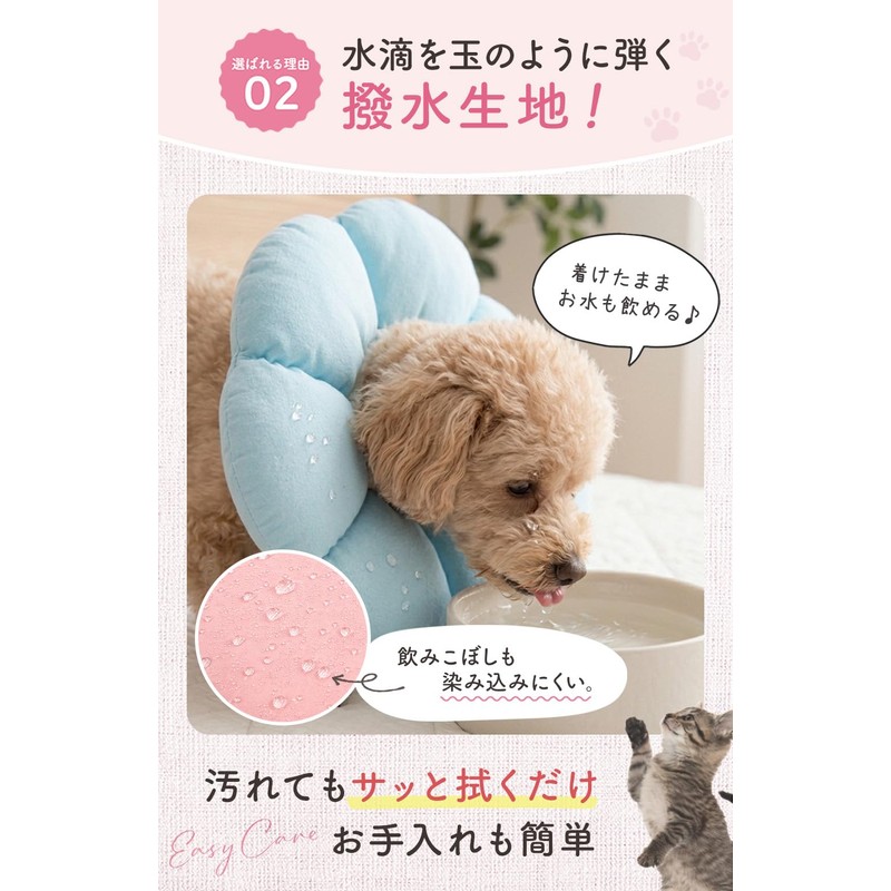 Croissant Magazine, Supervised by Veterinarian x JPPMA Certified, Elizabeth Collar