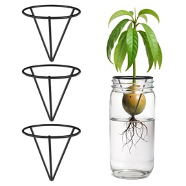 Tyqour 3 Pcs Avocado Tree Growing Kits, Avocado Seed Starter Vase Rack, Seed Holder for Mason Jar of Wide-Mouth, Triangular Metal Bracket for Home Office, Gardening Lovers Gift (Black)