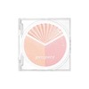 peripera V Highlighter 8.2g - [SINGLE] 02 Clear Flash