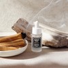 Nest New York Fragrances Wellness Palo Santo & Cedarwood Misting