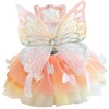Dog Princess Dresses for Small Dogs Lolita Clothes Butterfly Costume