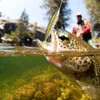 1 pcs Multi Sections Artificial Fishing Lure Bait Sea Fishing