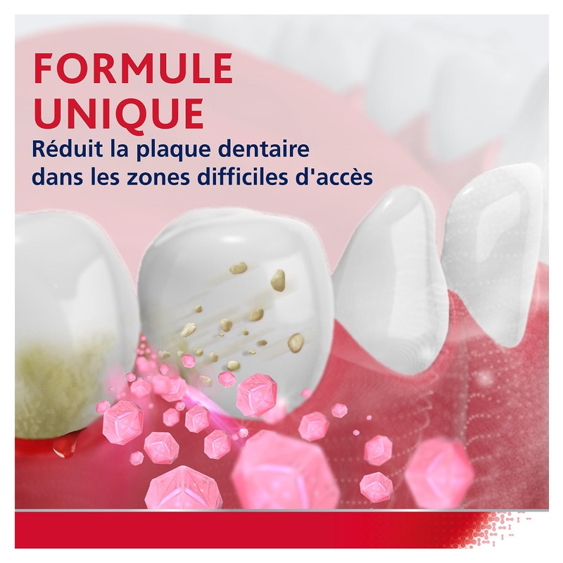 Parodontax - Dentifrice Au Fluor Pate Duo 75 ml (X2),
