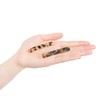 (2 types) Glow straight slim leopard skin hairpin light peach