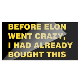 MaNeaz Interessant Auto Aufkleber UV-Aufkleber | "BEFORE ELON WENT CRAZY,I HAD ALREADY BOUGHT THIS" | Wasserdicht und kratzfest für empfindliche Auto-Lacke ca. 11 x 5,6 cm(Gold)
