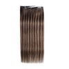 Caliee 16 Inch Long Weft Tape in Hair Extensions 50G