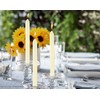 BOLSIUS Ivory Dinner Candles - 10 Pack Unscented 9 Inch