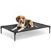 Petsfit Elevated Raised Outdoor Dog Bed - Cooling Dog Cot