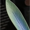 Ceramic Retro Leaf Incense Holder - Frosted Green Aromatherapy Stick