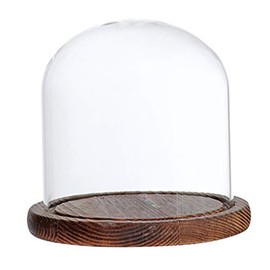 Glass Dome with Base Transparent 3.5x4.7inch Dustproof Retro Glass Display Dome Home Tabletop Coffee Shop Glass Cloche for Fake Flower Doll Figurine Glass Display Dome Glass Cloche Glass Dome with Ba