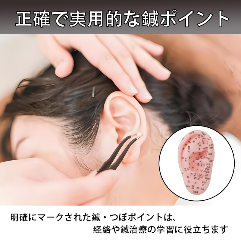 ピュアシーク 6個セット 耳鍼モデル 耳つぼモデル 医療器具 耳マッサージ 鍼モデル つぼモデル PVC 耳