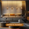 Pendant Light Shades, 4 Pack Ceiling Fan Light Shade Replacements