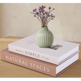 SLLPL Decorative Books for Home Decor with Hidden Storage, Faux Book Box Set of 2 for Coffee Table & Shelves, Neutral Book Decor Aesthetic for Living Room Styling