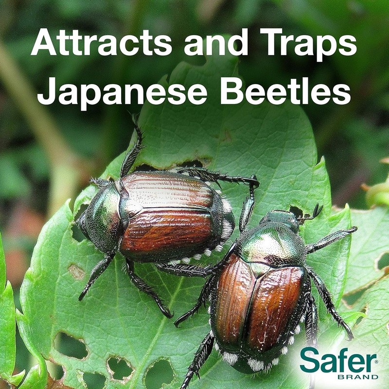 Safer Brand Japanese Beetle Trap with Attractant - 70102 -