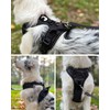 Joytale No Pull Dog Harness Medium Sized Dog, Reflective Pet