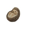 Hi-Line Gift Ltd Hedgehog on Back Statue