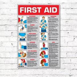 First Aid Laminated Poster 24" X 36"