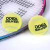 Odea Silver Training Tennis Balls,Good Bounce and Wear-Resistant,Suitable for Advanced