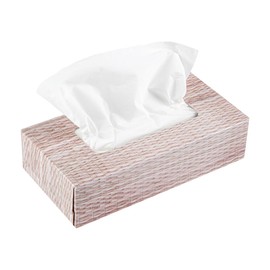 Restaurantware - Clean Tek Professional 8 x 4 x 2 Inch Facial Tissue Boxes, 30 Durable Tissue Boxes - 2-Ply Construction, 100 Tissue Sheets, Paper Facial Tissue Boxes, Perforated Top, Ideal For Cafes
