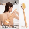 Dry Brushing Body Brush Set – Natural Bristle Spa Exfoliator