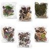 com-four® 6x Christmas decorations in a bag with cones, twigs,