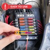 GADLANE Car Fuses Assorted Kit - 300pcs Mini & Medium