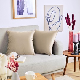 Blumtal Set of 2 Soft Velvet Cushion Covers, 30 x 50 cm, Elegant Velvet Pillowcases, Sand Beige